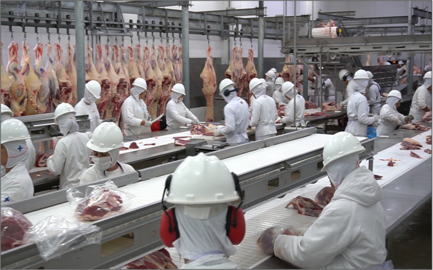 Mato Grosso | Seminário do Indea busca conscientização sobre inspeção de alimentos de origem animal