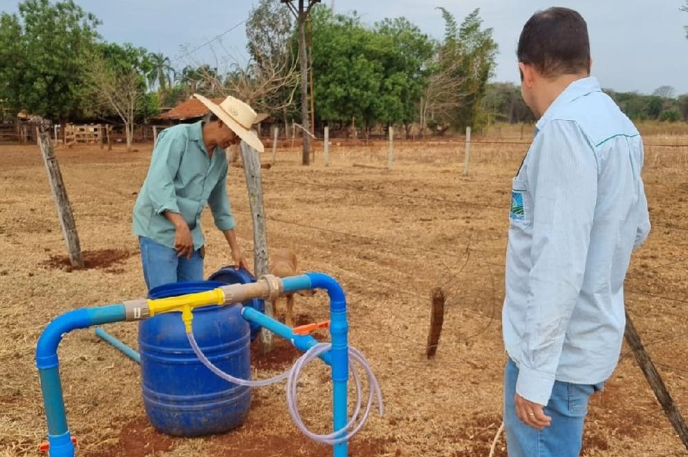 Produtor investe em sistema de irrigação e aumenta produção de leite