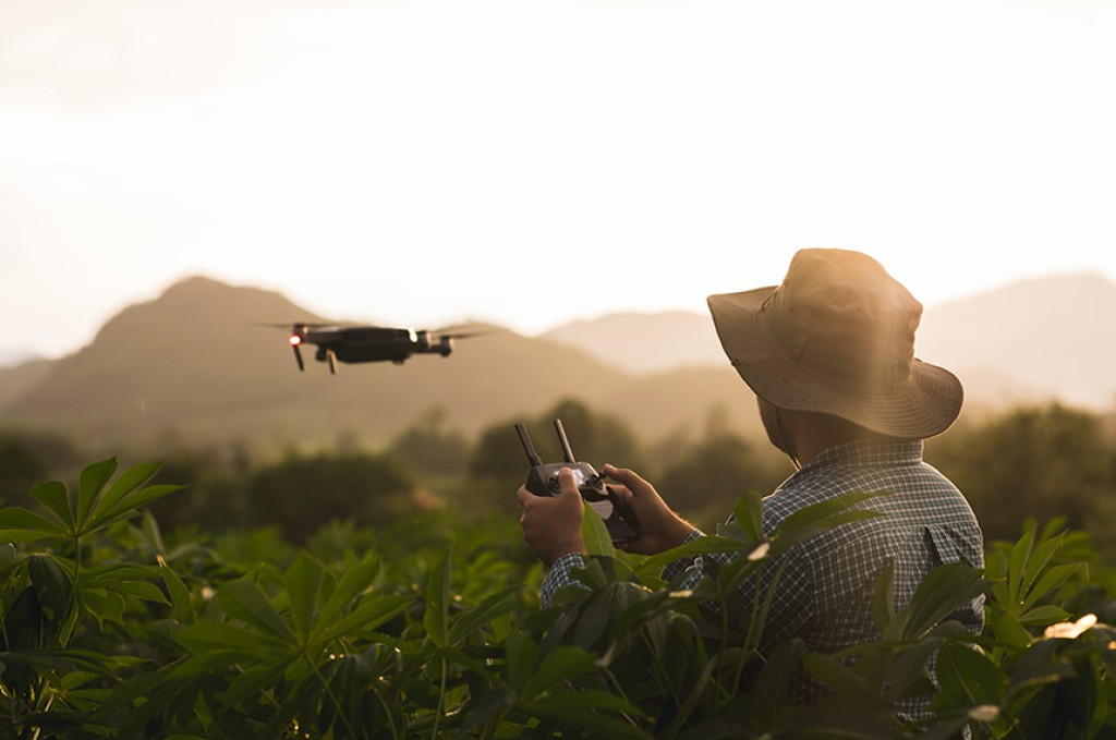 Política de incentivo à agricultura e à pecuária de precisão é sancionada