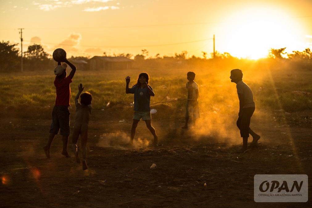 Contaminação por agrotóxicos foi identificada em 88% de amostras vegetais na Terra Indígena Tirecatinga, em Mato Grosso