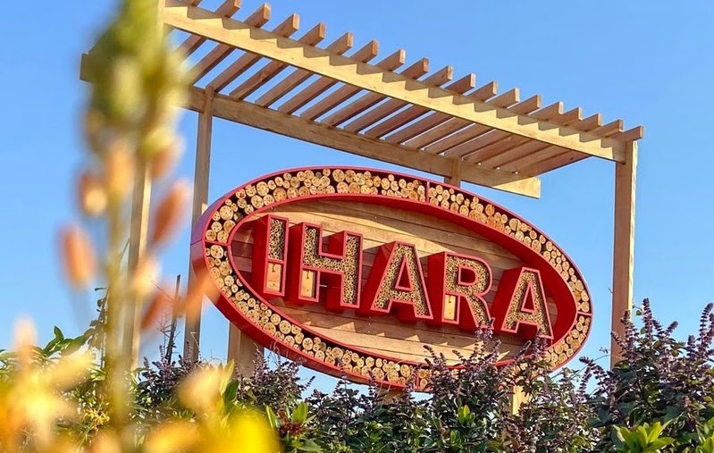 IHARA investe na preservação e valorização de polinizadores no Mato Grosso