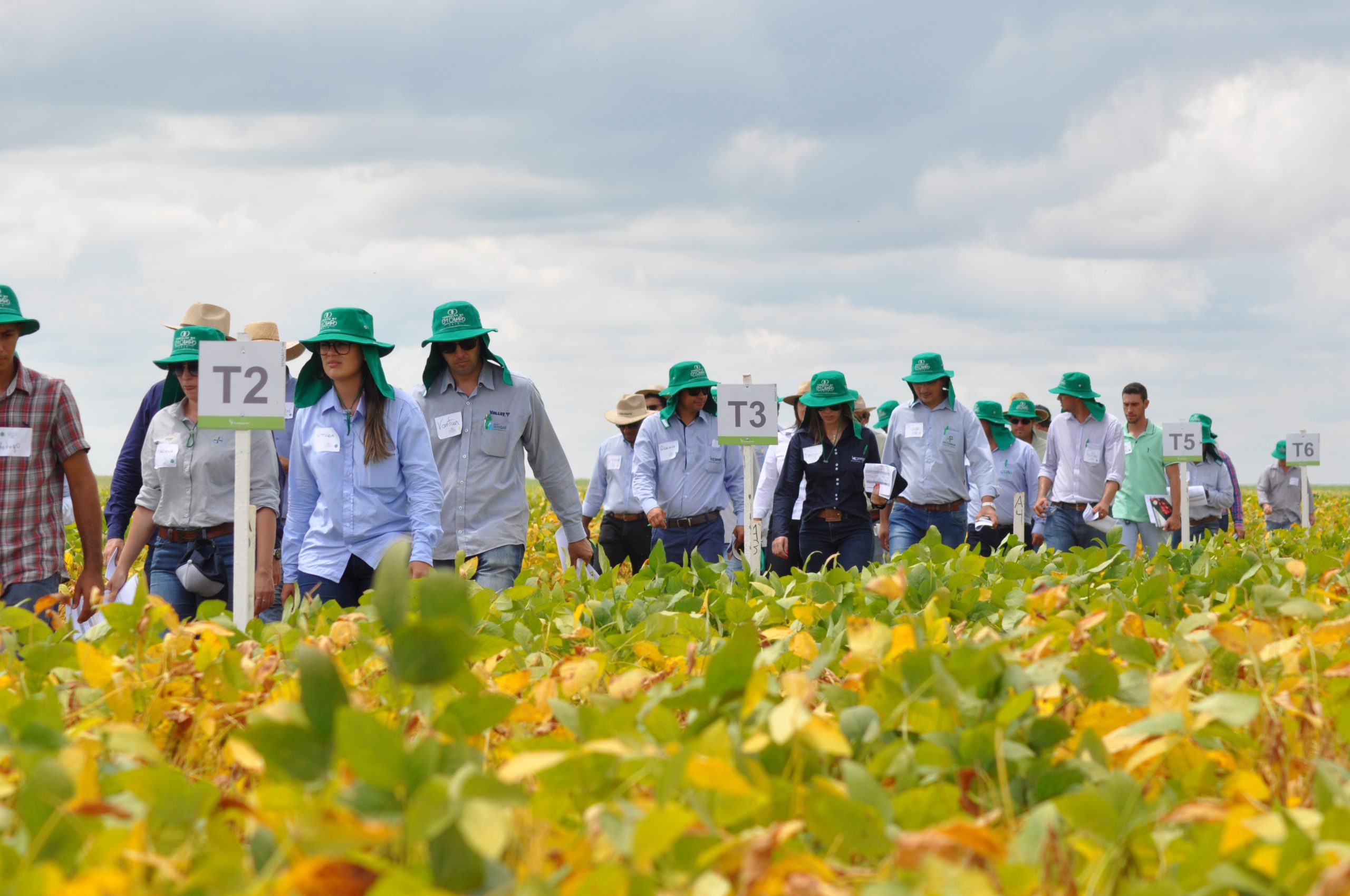 Dias de campo da Fundação MT difundem informações estratégicas para a safra de soja
