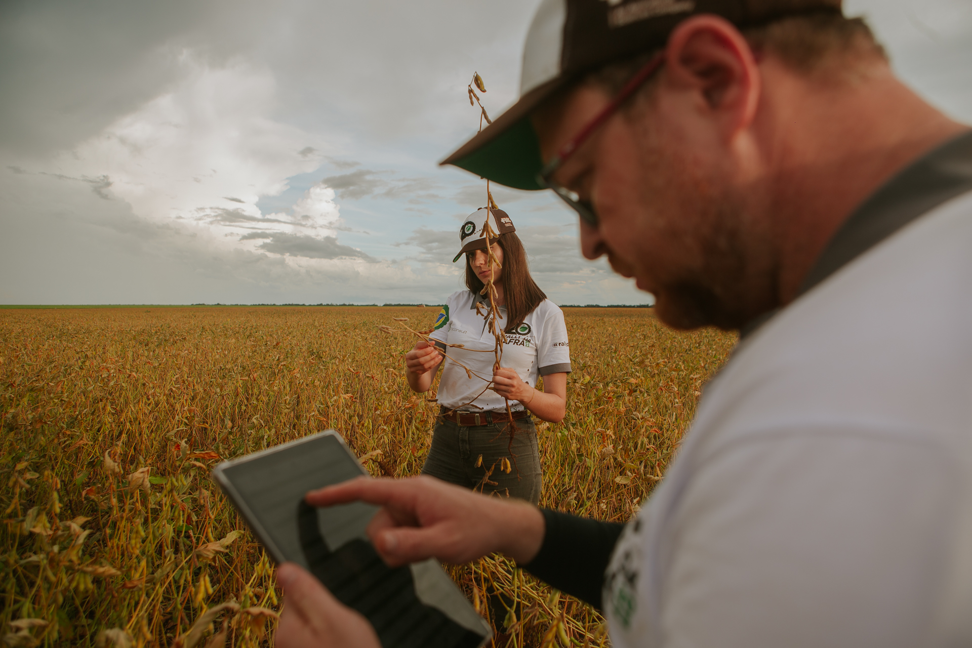 Médio Norte e Oeste do Mato Grosso recebem Rally da Safra, em cenário de boas produtividades