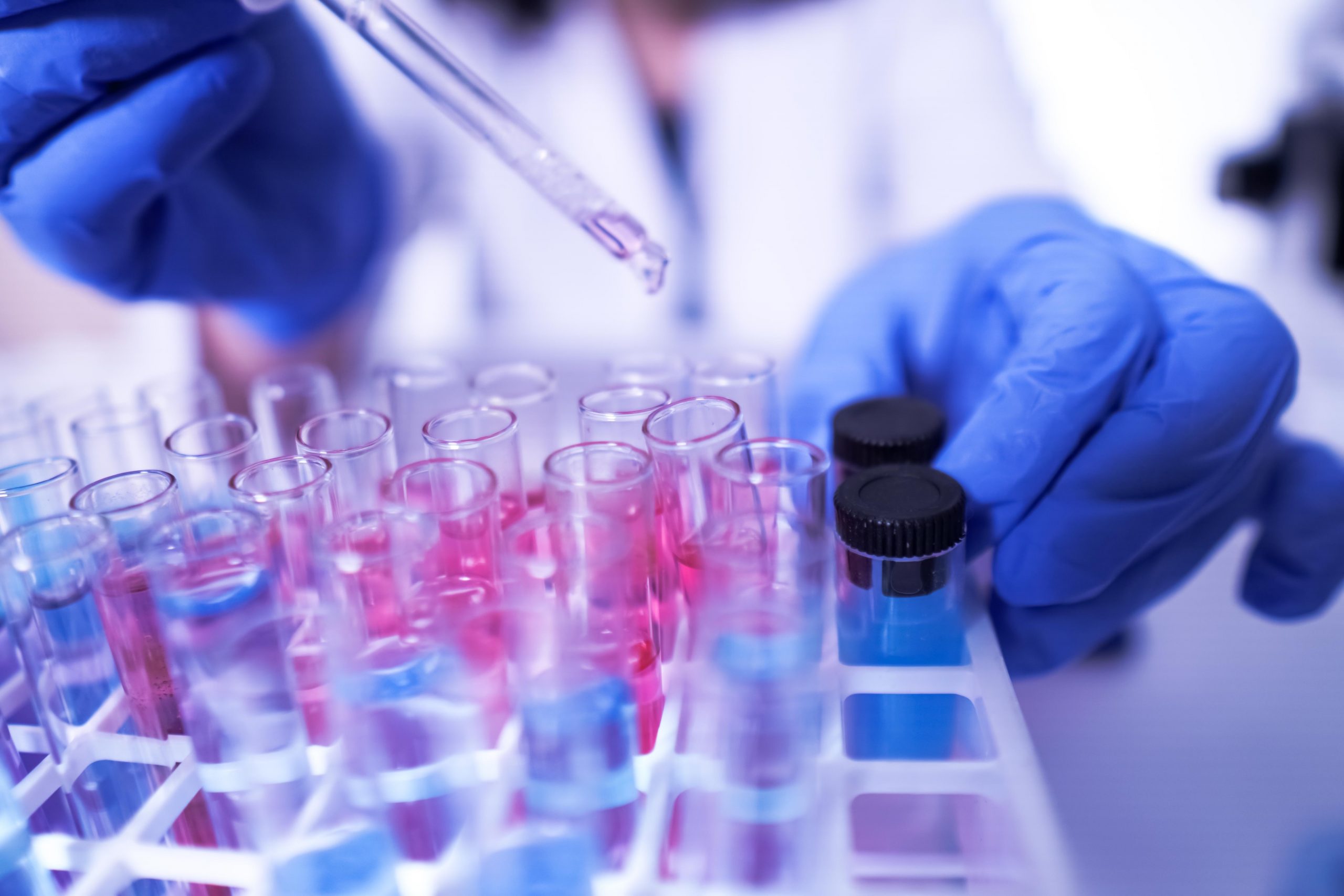 Decreto do Governo Federal institui rede destinada a promover o desenvolvimento científico no Brasil