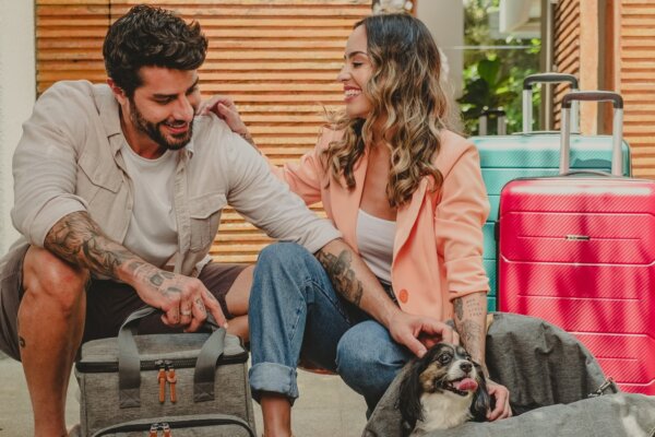 Senado aprova guarda compartilhada de pets após separação; entenda o que muda