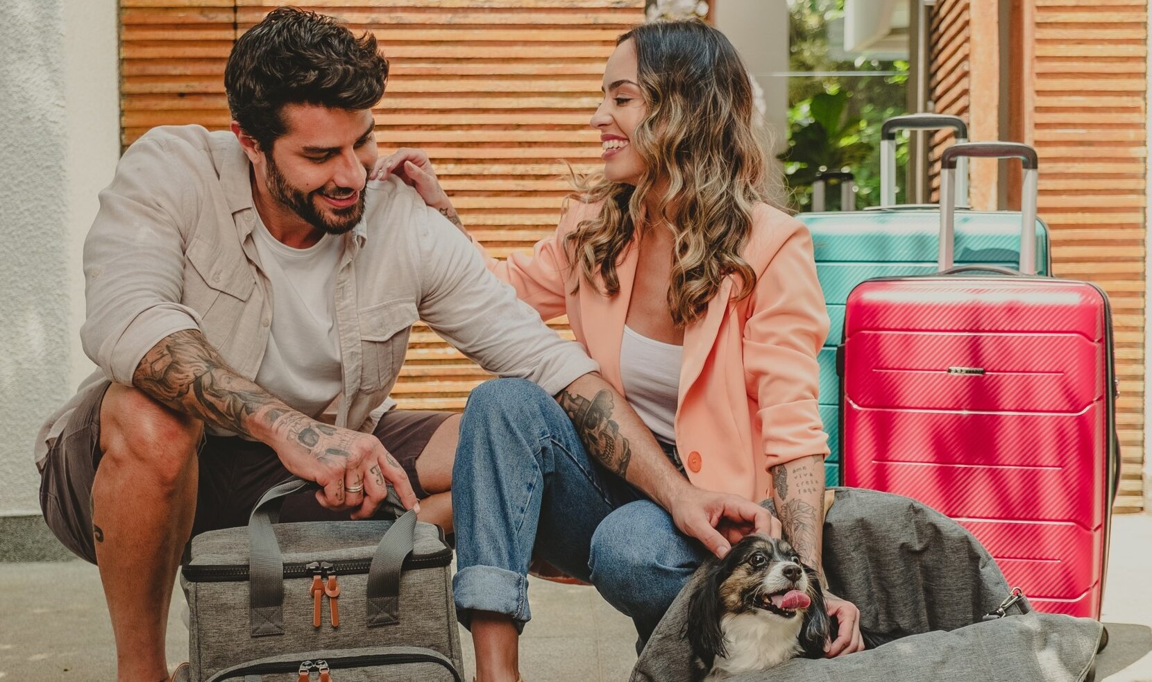 Senado aprova guarda compartilhada de pets após separação; entenda o que muda