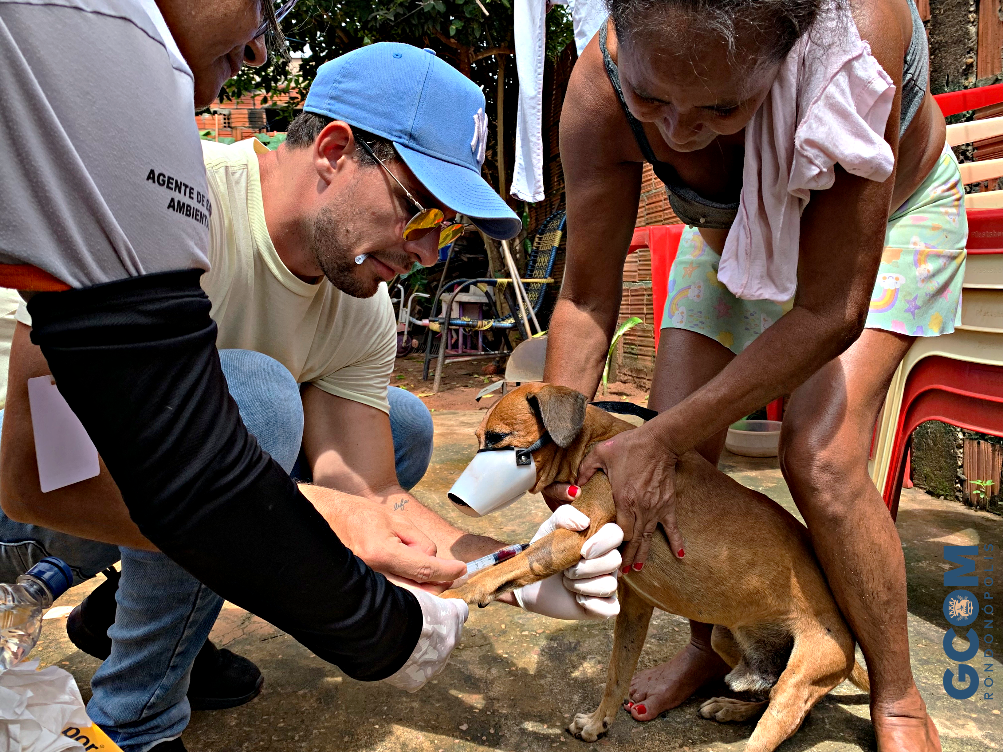 Técnicos da UVZ estão fiscalizando e fazendo o combate ao mosquito palha da Leishmaniose