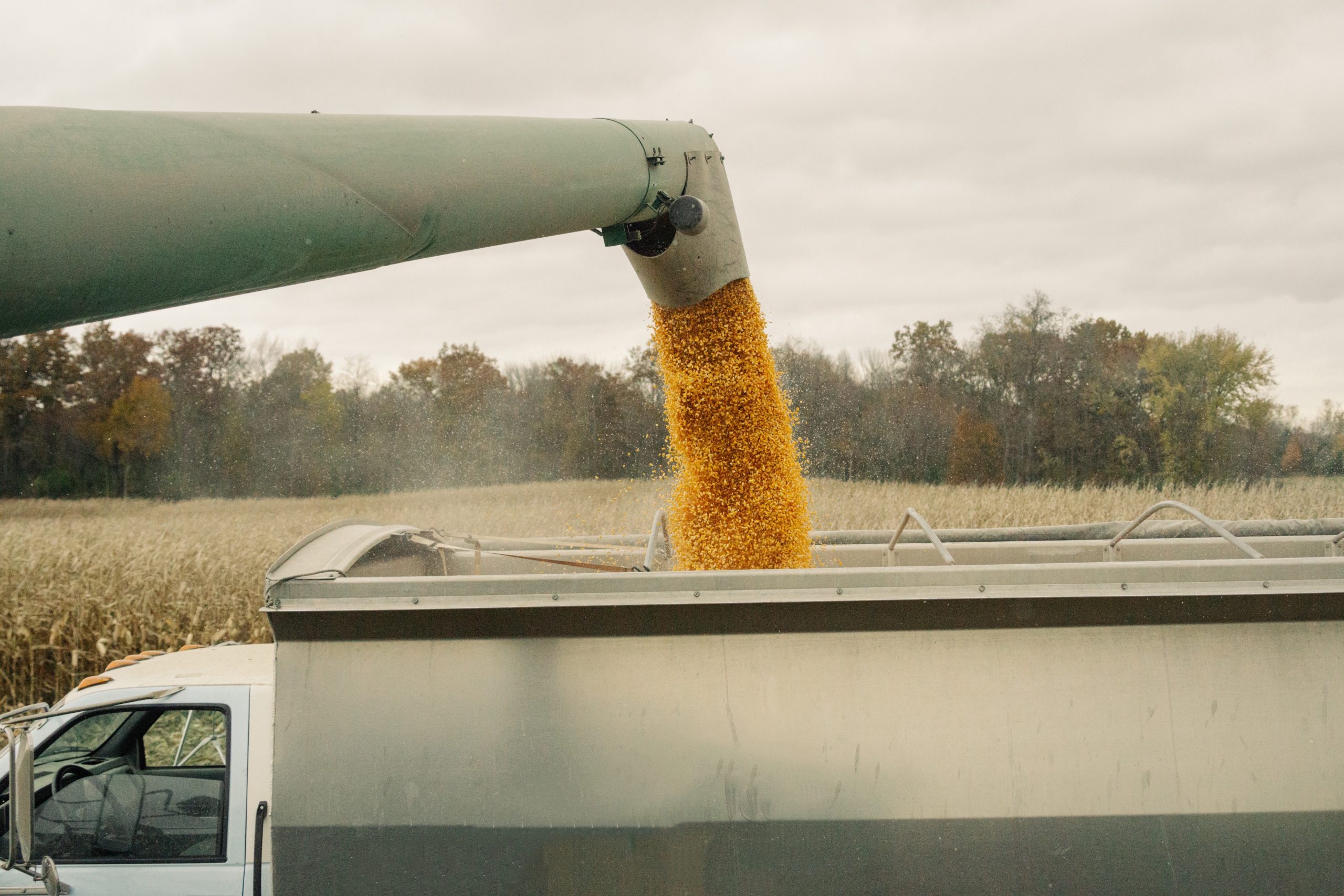 A corrida por frete começou e embarcadores precisam se preparar