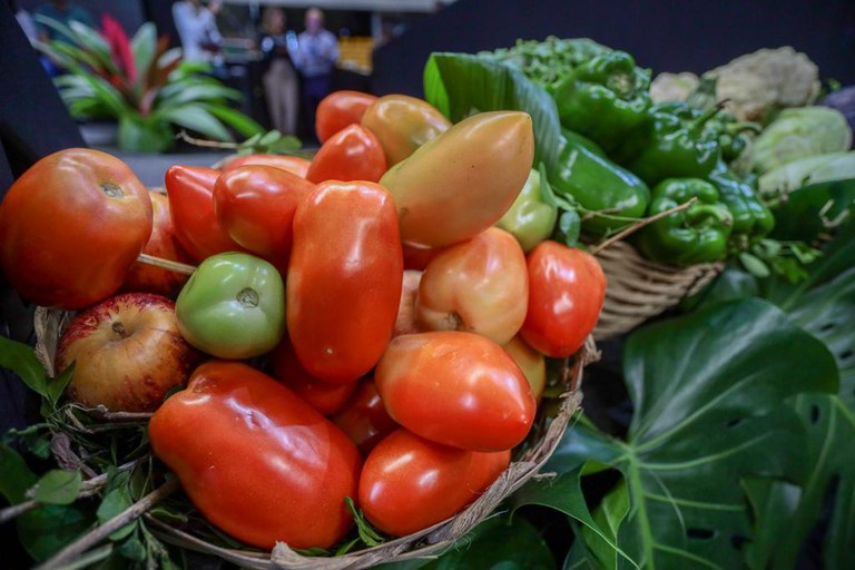 Retomada do PAA visa fortalecer a agricultura familiar e a garantir o acesso à alimentação saudável a todos os brasileiros