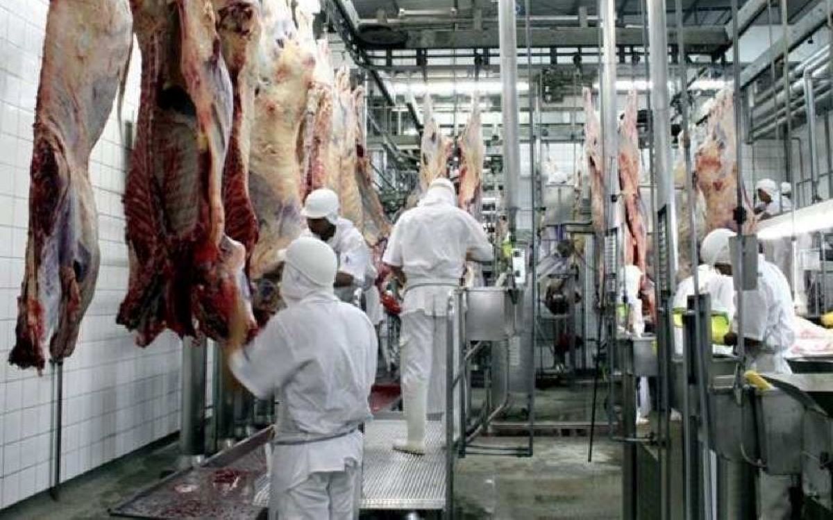 Friboi abre 130 vagas de emprego na unidade de Confresa