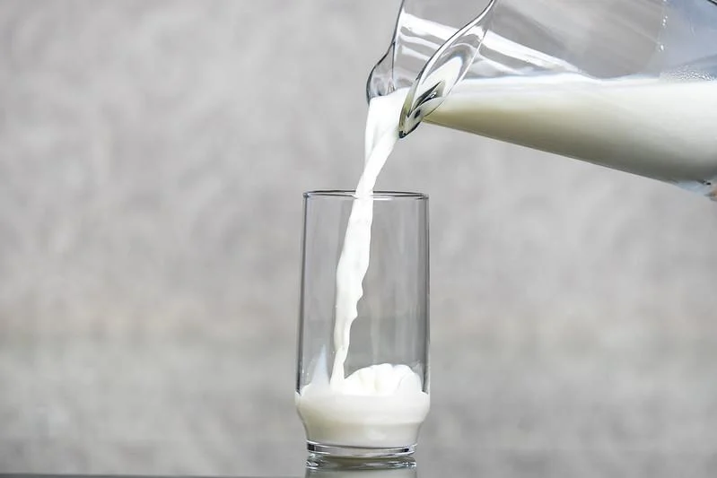 Leite a preço de ouro: entenda a alta nos preços e veja a tendência para os próximos meses