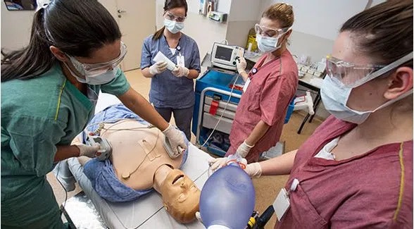 Senac-MT participa de treinamento no Instituto Albert Einstein para aplicar metodologia inédita no estado