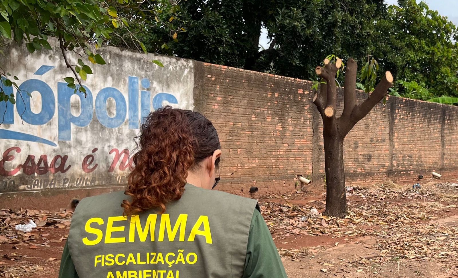 Rondonópolis | Secretaria de Meio Ambiente intensifica trabalho de fiscalização e orienta população sobre podas de árvores