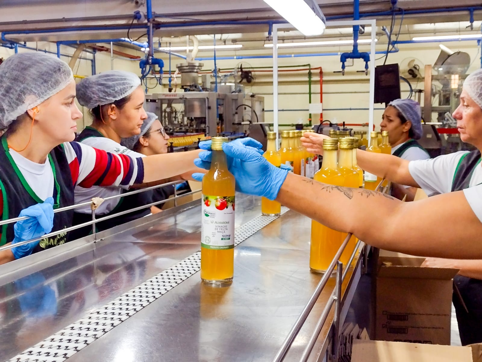 Quase metade dos brasileiros leva produtos orgânicos para casa