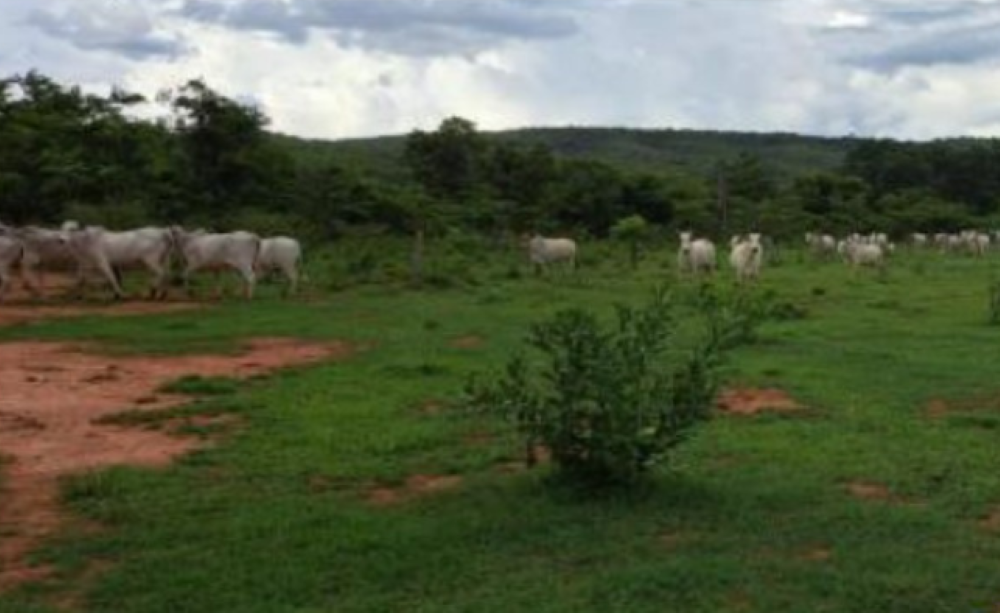 Fazendeiro é preso por explorar áreas desmatadas em Itiquira 