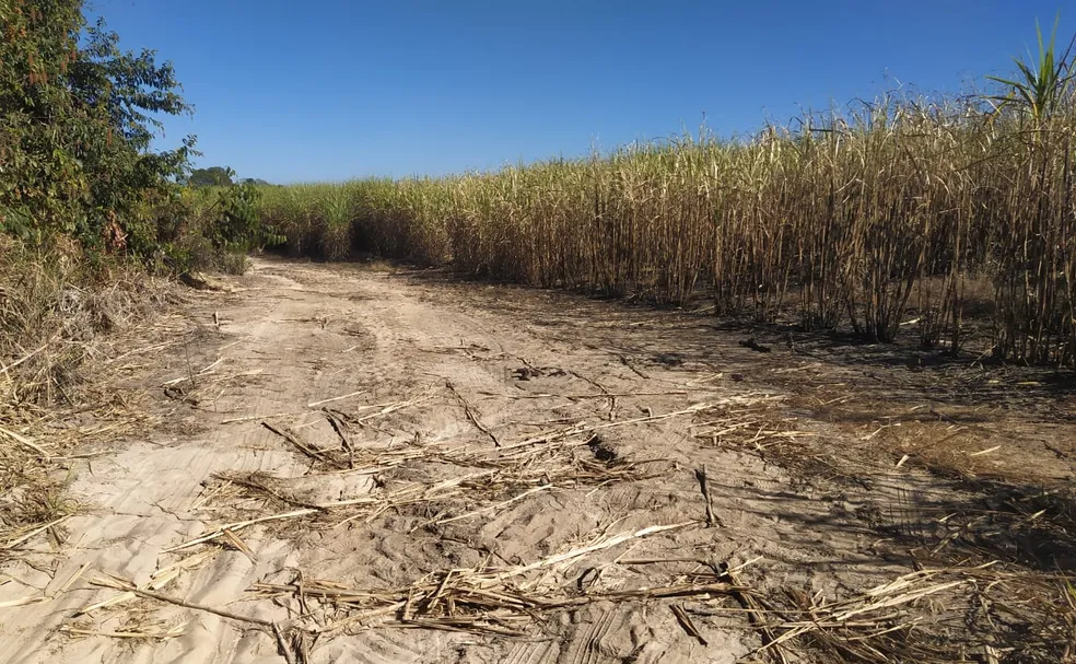 Adolescente morre e homem fica ferido após serem queimados vivos