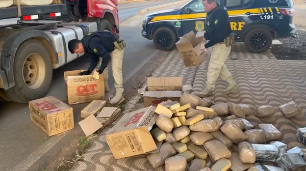 Alto Garças | Polícia apreende mais de 360 kg de drogas em caminhão carregado com pluma de algodão