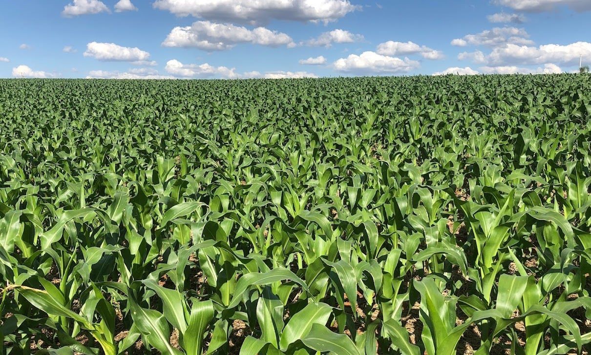 Congresso Andav destaca tecnologias que melhoram a rentabilidade do produtor