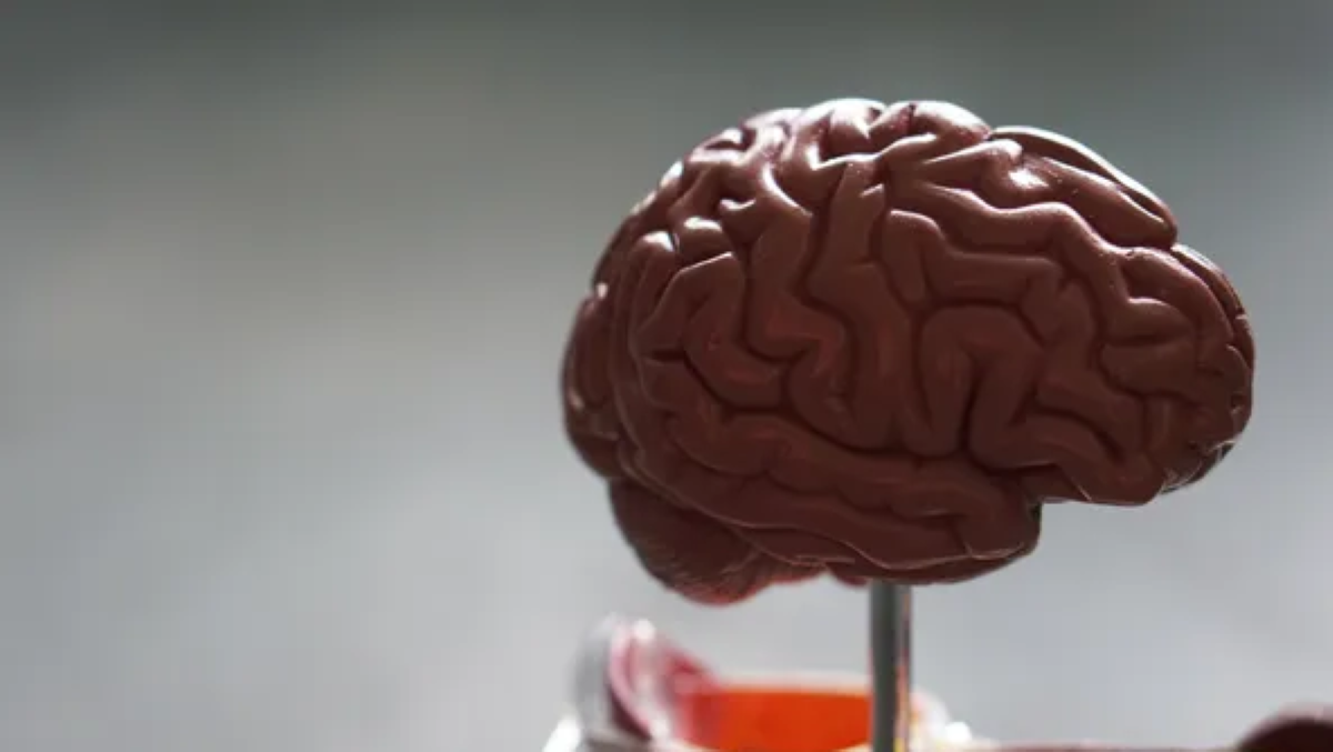 Brasil ultrapassa 2,6 mil pessoas superdotadas, diz pesquisa