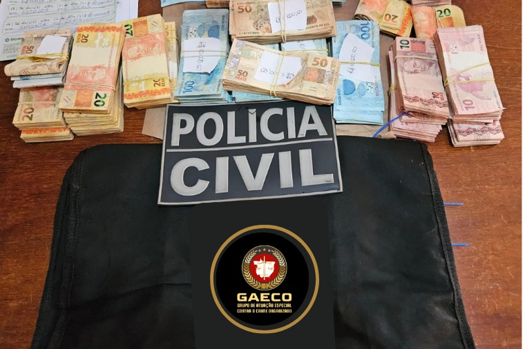 Operação cumpre 37 ordens judiciais e Sema afasta servidores envolvidos