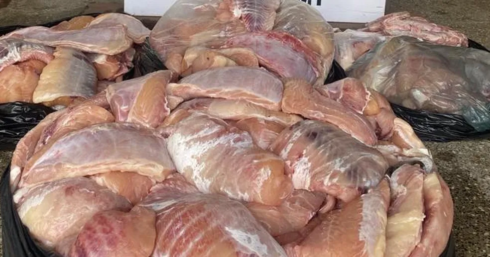 Cáceres | Pescadores são multados em R$ 17,9 mil por pesca predatória após polícia encontrar 79 kg de peixe escondidos em freezer