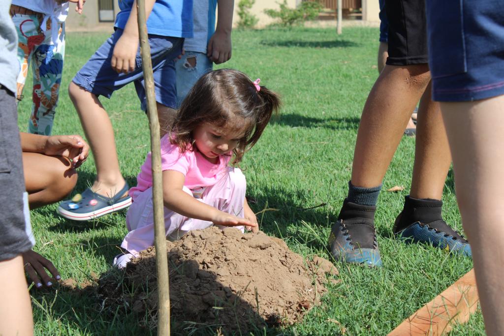 Grupo NC e Rumo realizam plantio de mudas na Praça Pôr do Sol em Rondonópolis