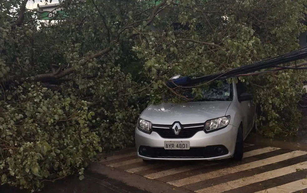 Chuva e ventania causam estragos em bairro de Cuiabá