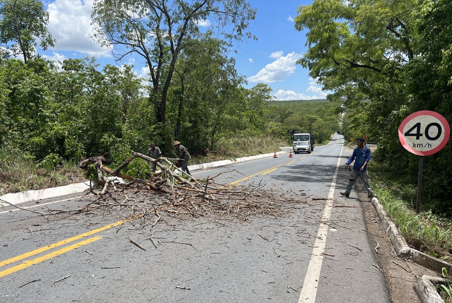 Trecho da MT-251 será interditado na quinta-feira (14) para retirada de árvore