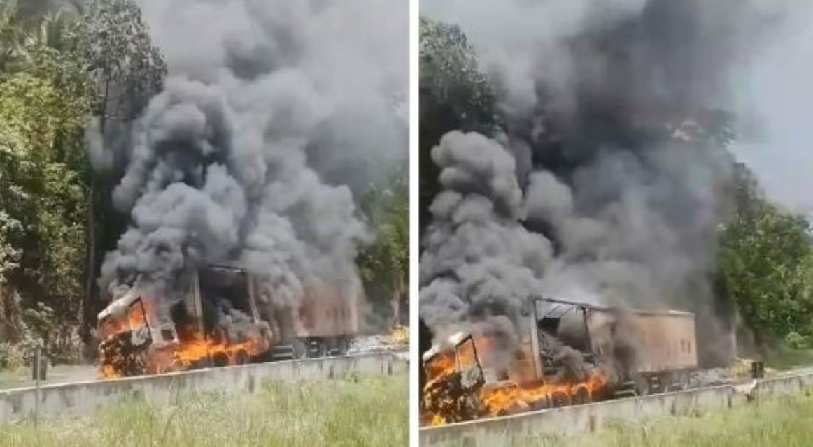 Caminhão carregado com cerveja pega fogo na BR-364