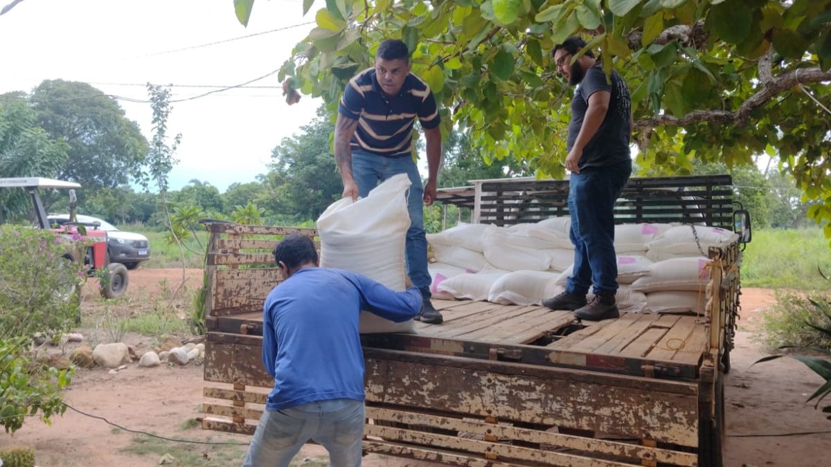 Rondonópolis | Projeto incentiva a criação de frango na comunidade rural