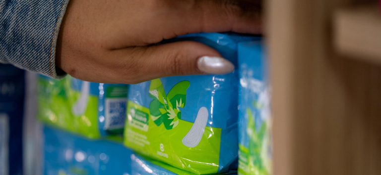 Cartilha traz informações sobre como ter acesso a absorventes pelo SUS