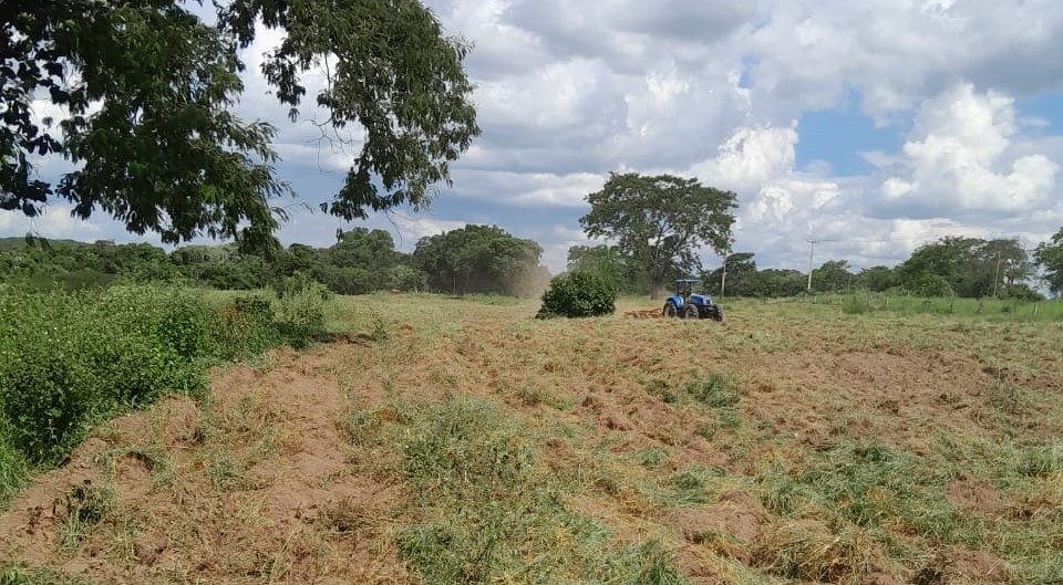 Rondonópolis | Prefeitura cria programa de incentivo para atender pequenos produtores rurais