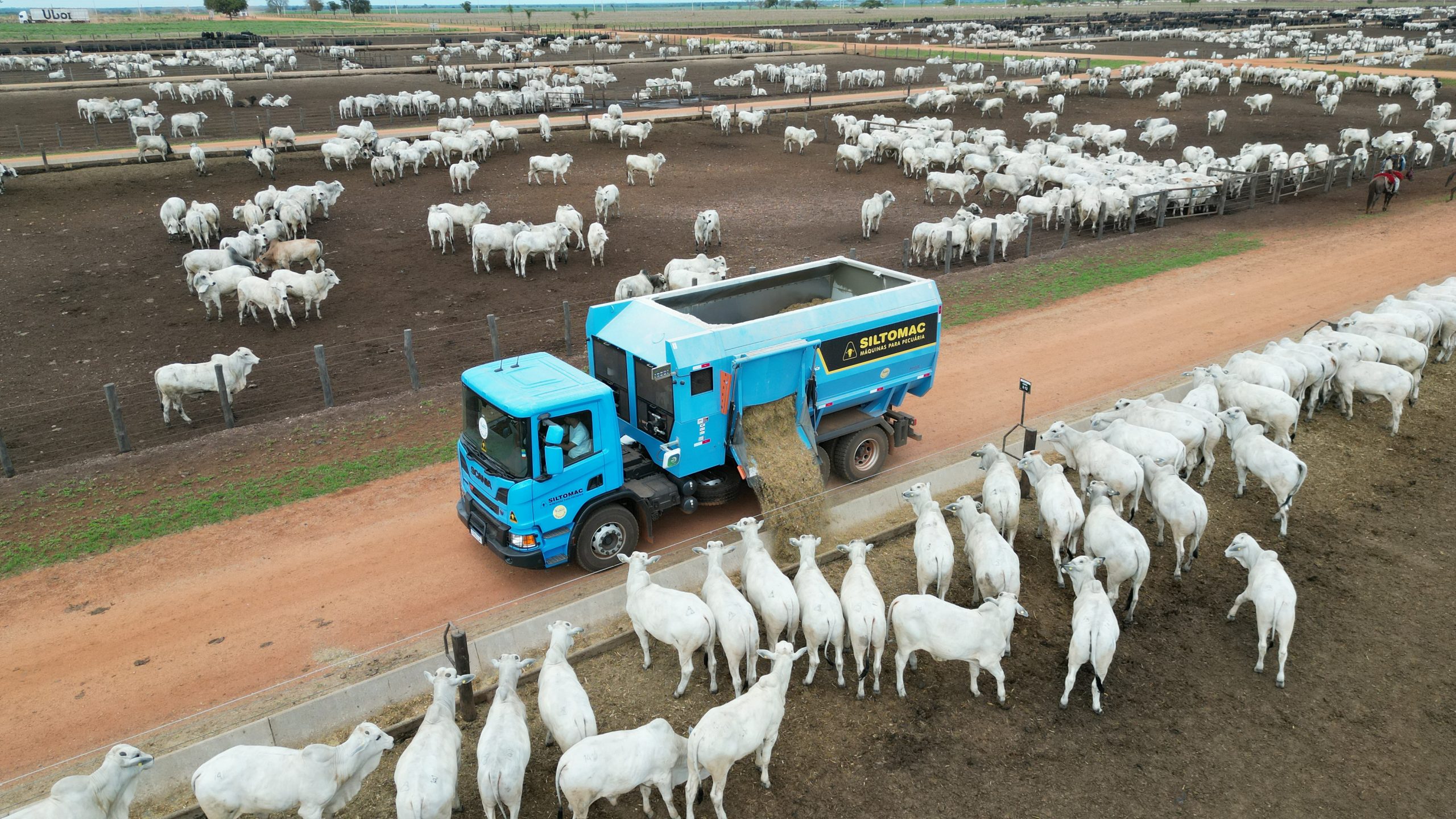 Feiras em MT levam tecnologias ao pecuarista com foco em eficiência
