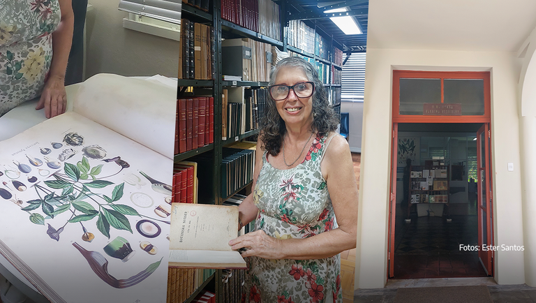 Dia do bibliotecário é comemorado nesta terça-feria (12)