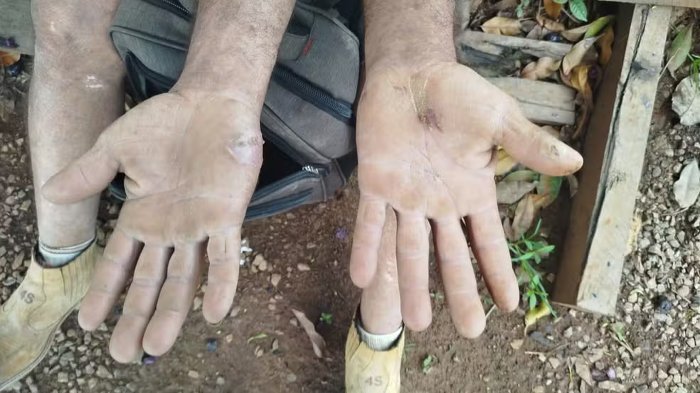 Sinop | Trabalhadores fogem de situação análoga à escravidão e quadrilha é presa