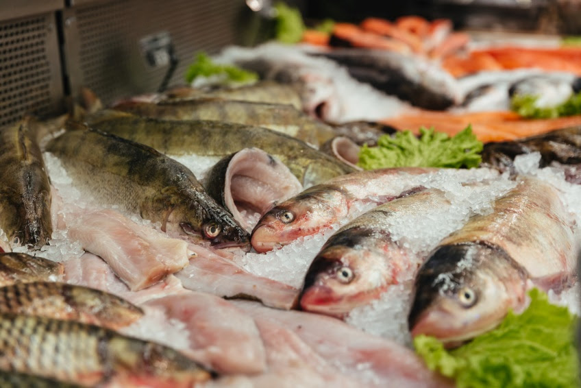 Saiba como escolher o peixe ideal para sua ceia na Sexta-feira Santa