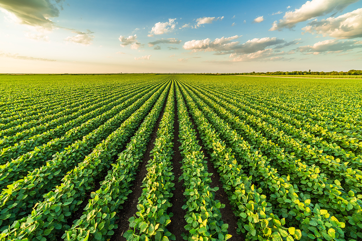 Biotrop leva avançadas tecnologias biológicas para produtores do Mato Grosso, na ExpoCentro – Negócios em Foco 