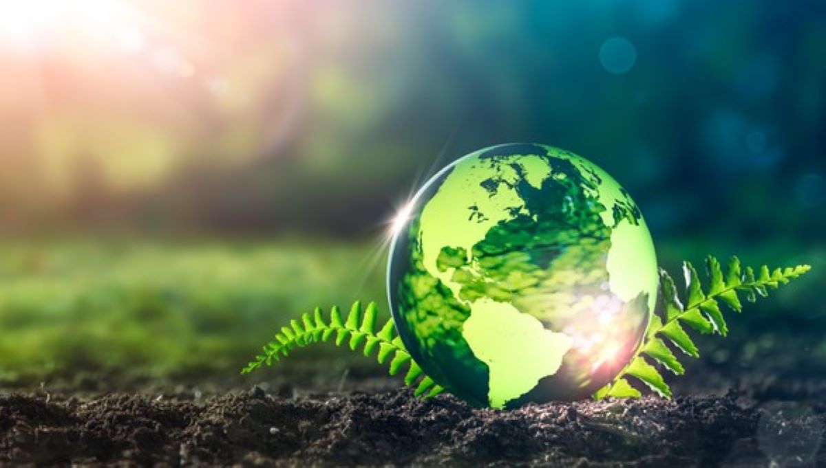 Semana da Terra: empresas criam produtos levando em consideração à sustentabilidade      