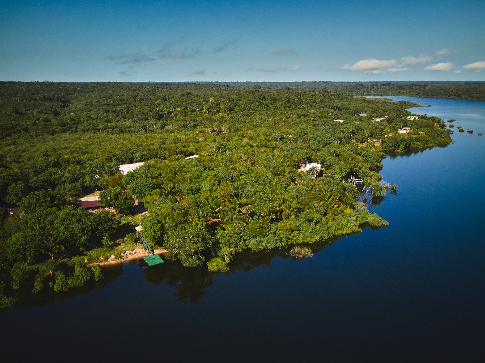 Gestão inteligente de dados alavanca crescimento sustentável da região amazônica
