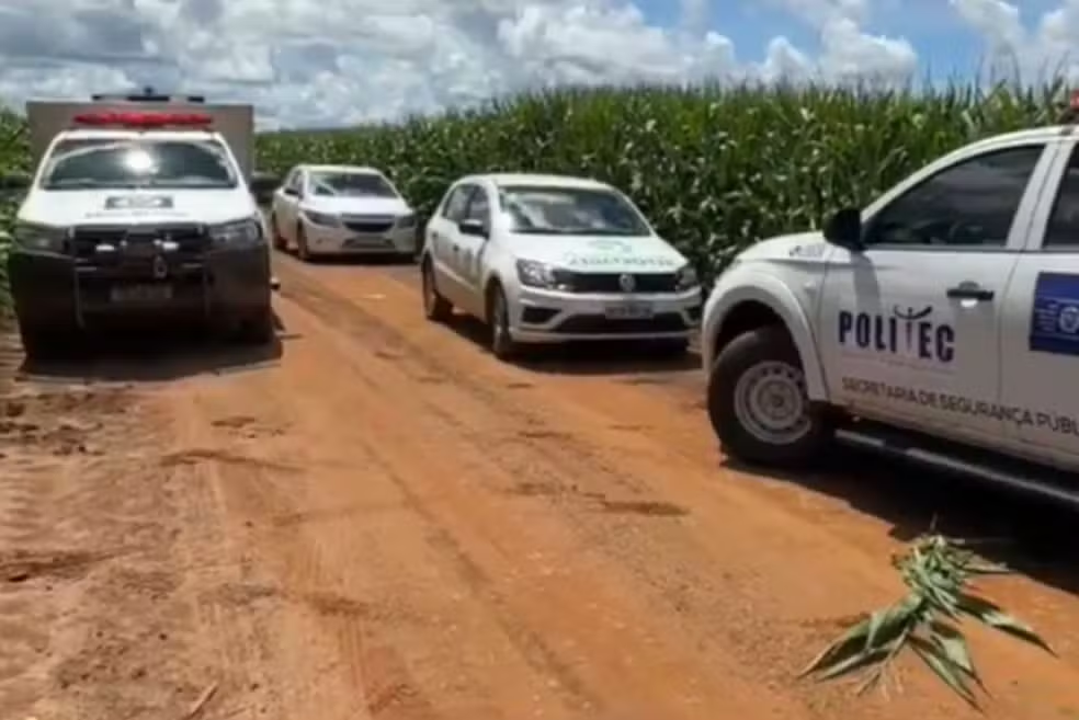 Sorriso | Corpo de jovem é encontrado em milharal e dois suspeitos são presos horas depois do crime