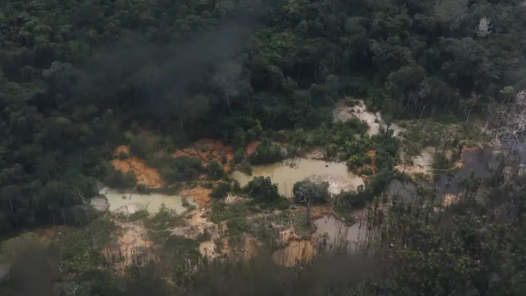 Ibama apreende 32 aparelhos de empresa de Elon Musk em operações contra garimpos ilegais