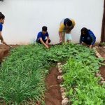 Estudantes de escola estadual aprendem a fazer adubo orgânico utilizando técnica sustentável 8