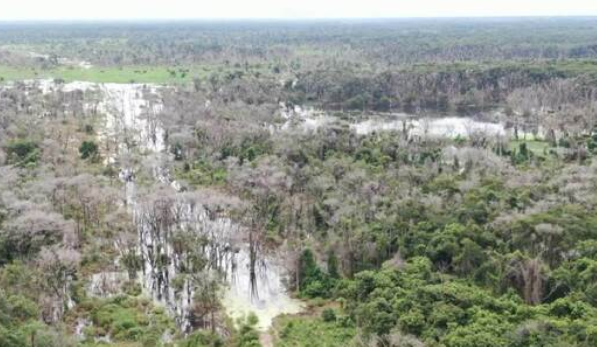 Justiça nega pela 2ª vez pedido de prisão de pecuarista que gastou R$ 25 milhões em desmate químico no Pantanal