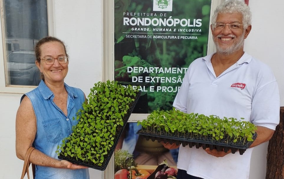 Rondonópolis | Prefeitura inicia entrega de 5 mil mudas para pequenos produtores