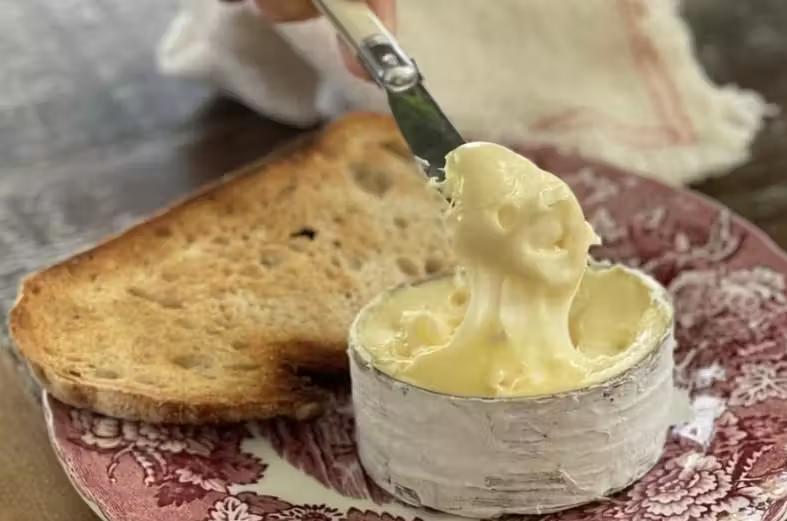 Queijo brasileiro é eleito o melhor do mundo em competição internacional