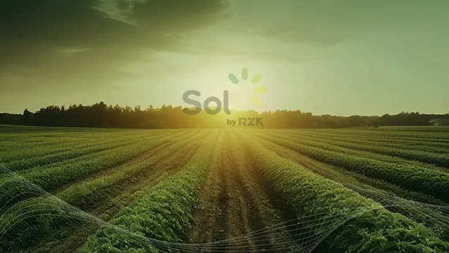 Sol apresenta soluções em tecnologia e conectividade para o produtor rural na Norte Show 2024