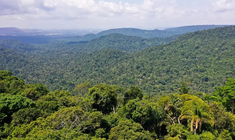Brasil pode liderar na economia verde com aposta em energias renováveis