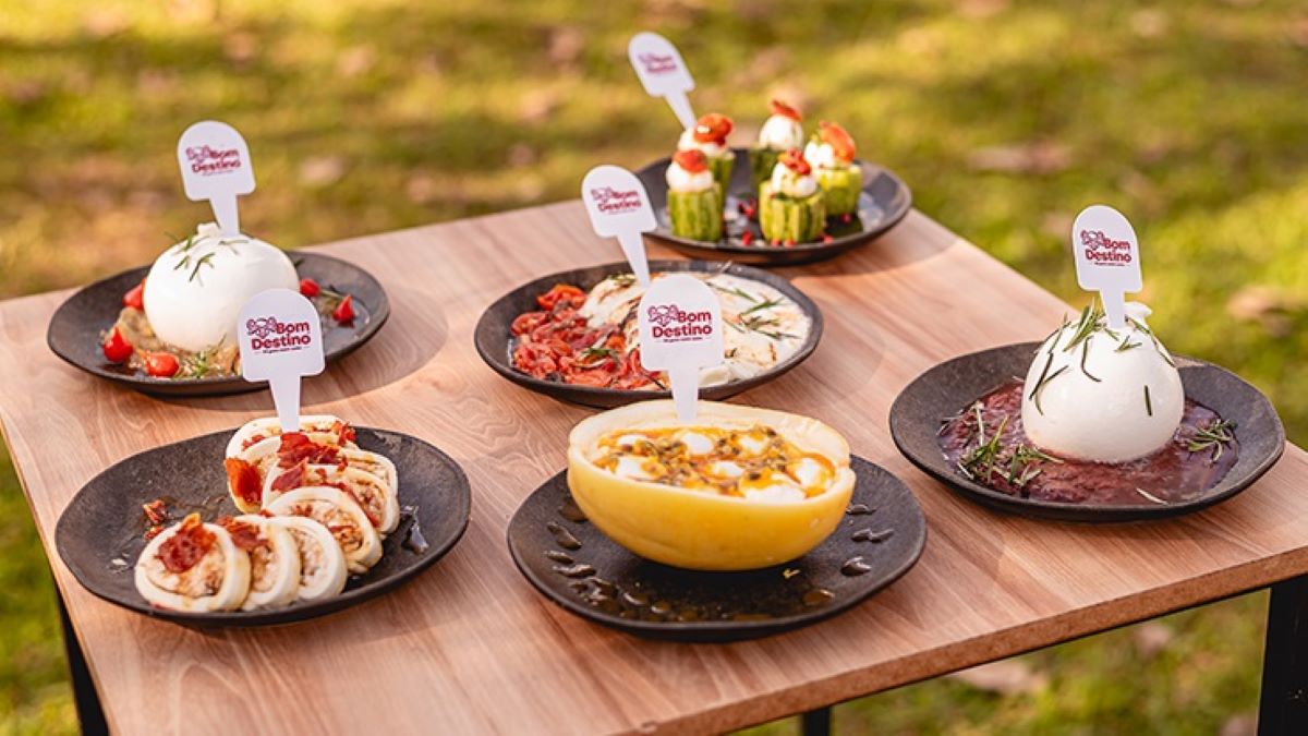 Laticínios de búfala: conheça os benefícios destes alimentos que contêm mais nutrientes do que leite de vaca