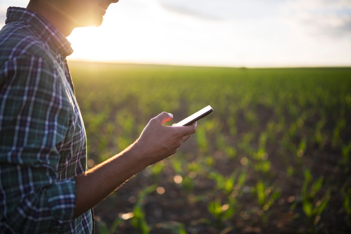 Produtores rurais brasileiros migram para compras online na hora de adquirir insumos agrícolas