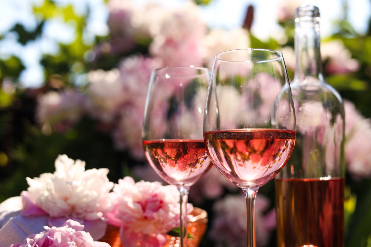Dia Internacional do vinho rosé: Confira quatro opções de rótulos da Cantu Grupo Wine